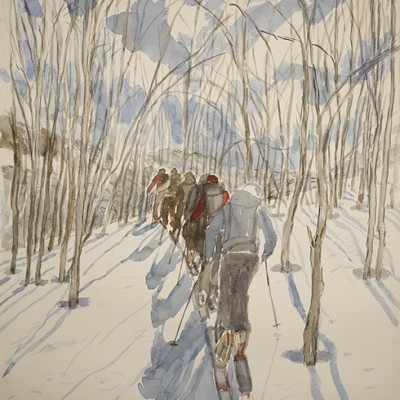 Skinning up through Birch Trees near Jokeljford Fjelltindnasen Jokelfjord Troms