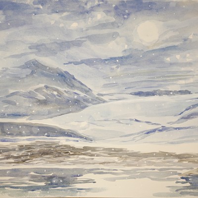 arctic fox in landscape Trygghamna Fjord Svalbard