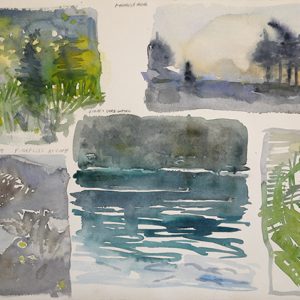Storyboard for paintings from Maine in July 2019 