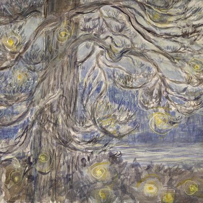 fireflies Maine pond nocturne walk in nature