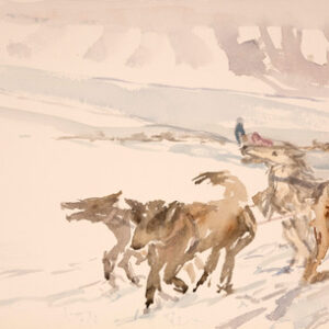 svalbard huskies