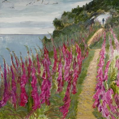 south west coast path walking hiking