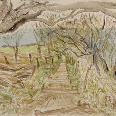 primrose path coastal hike plein air painting