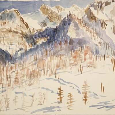 Sunlight on Larches in Viviere plein air sketch