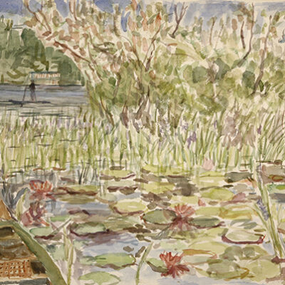 waterlilies and pond in Maine Songo Pond