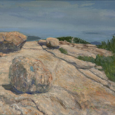 Summit Cadillac Mountain oil painting of birds Mount Desert Island Maine