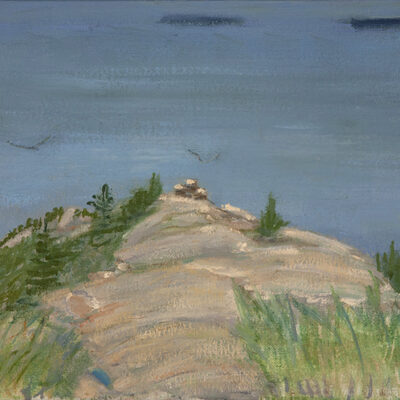 Riding the Air Currents Summit Cadillac Mountain oil painting of birds Mount Desert Island Maine
