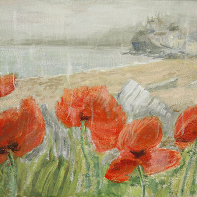 red poppies in rain coast path Hall Sands Devon