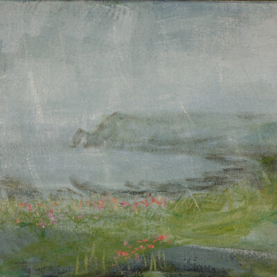 Sea Thrift in Rain near Salcombe oil painting landscape