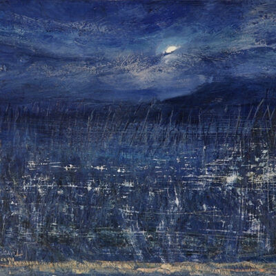 moon in the reeds on the South West Coast path