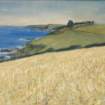 wheat field along South West Coast Path Morecombe